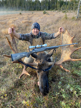 Newfoundland Canadian Moose