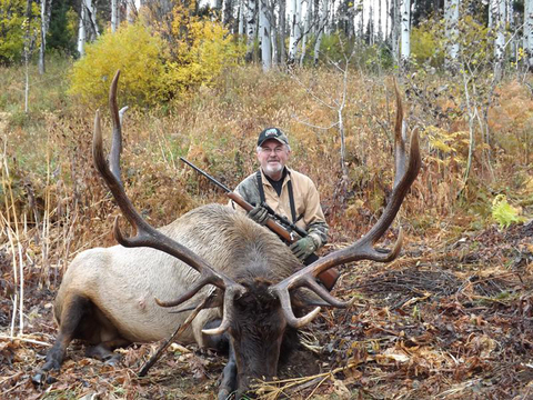 Idaho Horseback Elk Hunt