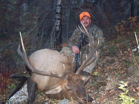 Idaho Horseback Elk Hunt