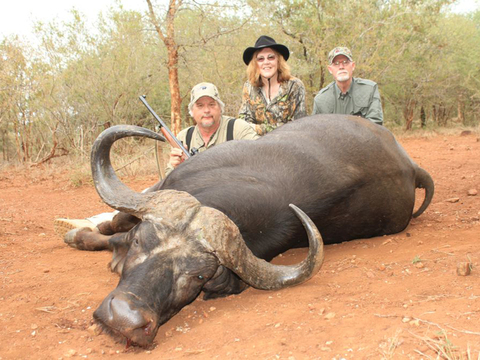 Mozambique Cape Buffalo and Plains Game