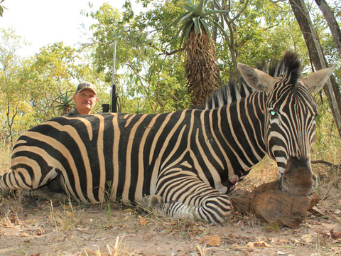 Mozambique Cape Buffalo and Plains Game