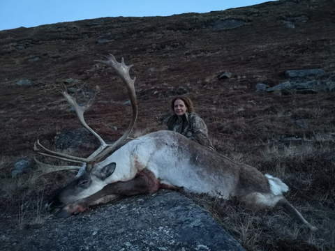 Greenland Caribou Hunt