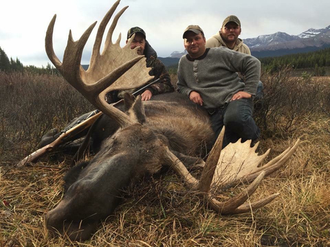 Alberta Backcountry Moose Hunt on Horseback 