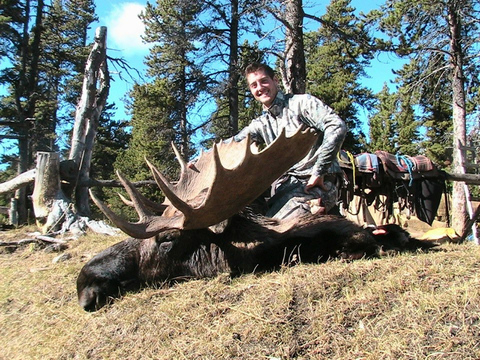 Alberta Backcountry Moose Hunt on Horseback 