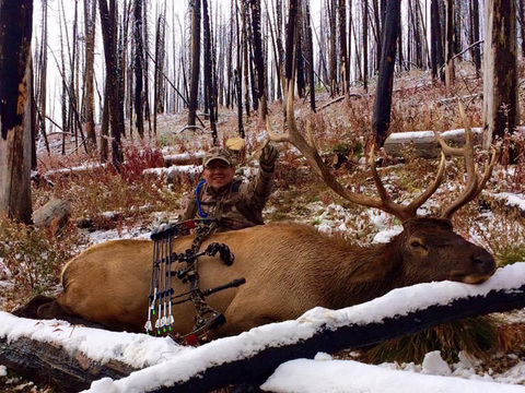 Lodge Based or Back-Country Idaho Elk Hunt