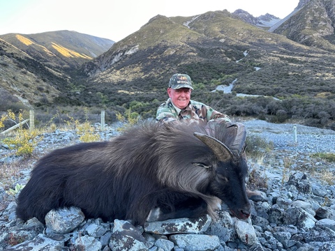 High Success New Zealand Tahr Hunt