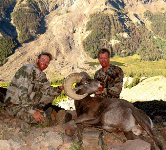 2012 Trophy Bighorn