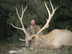 TopNotch Elk1