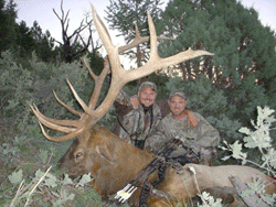 TopNotch Elk2