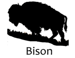 BisonSilhouette