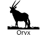 OryxSilhouette